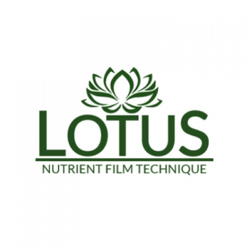 Lotus Parts